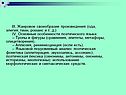 Жанровое своеобразие произведения