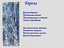 Береза