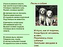 Песнь о собаке