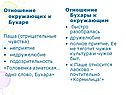 Отношение окружающих к Бухаре