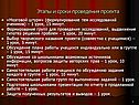 Этапы и сроки проведения проекта