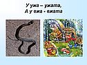 У ужа – ужата, А у ежа - ежата