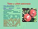 Тема и идея рассказа