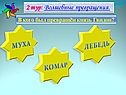 Волшебные превращения