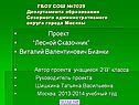 Лесной Сказочник