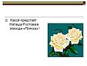 Какой предстаёт Наташа Ростова в эпизоде «Пляска»