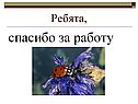 Спасибо за работу