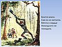 Боится влаги
