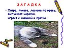 Загадки для 5 класса