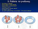 Работа по учебнику