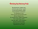 Птицы летят