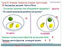 Рассмотри рисунки Кати и Пети